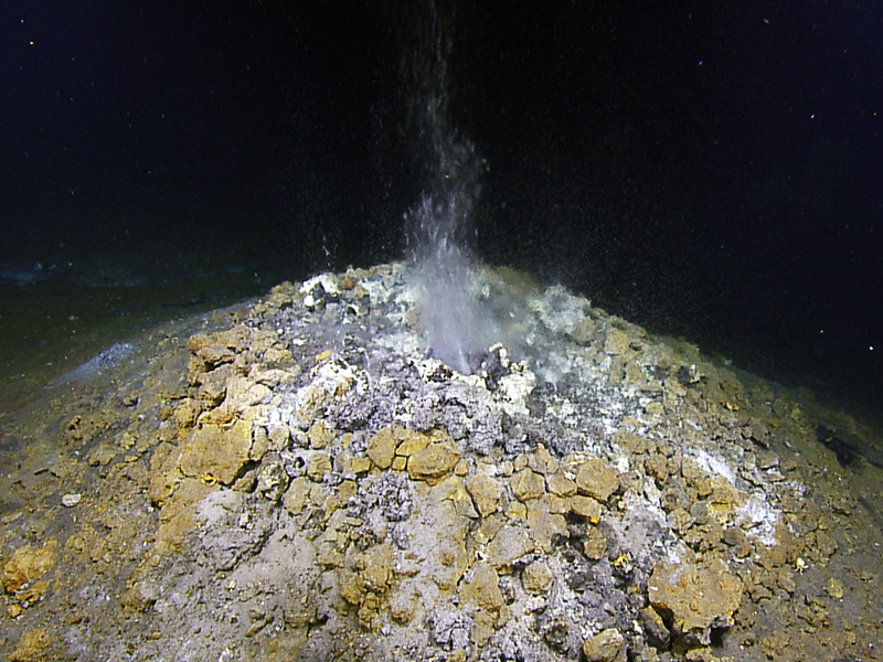 Hydrothermal vent on Vailulu’u Seamount in National Marine Sanctuary of American Samoa visually identified by remotely operated vehicle Hercules at the beginning of the expedition. This vent was the target site for the testing of the prototype of the plume-tracing algorithm developed for the Autonomous Localization of Seafloor Fluid Flow Sources project.